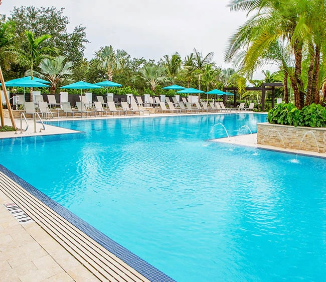 Commercial-Pool-Contractors-Dubai